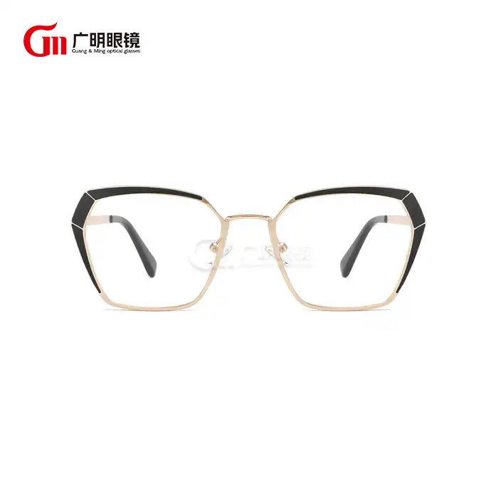 steel eyeglass frames